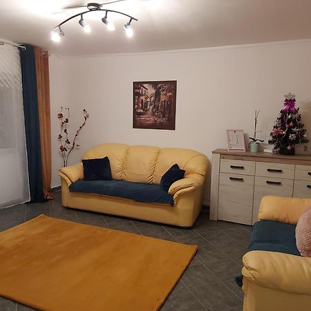 Central Lala Apartament Braşov Exterior foto